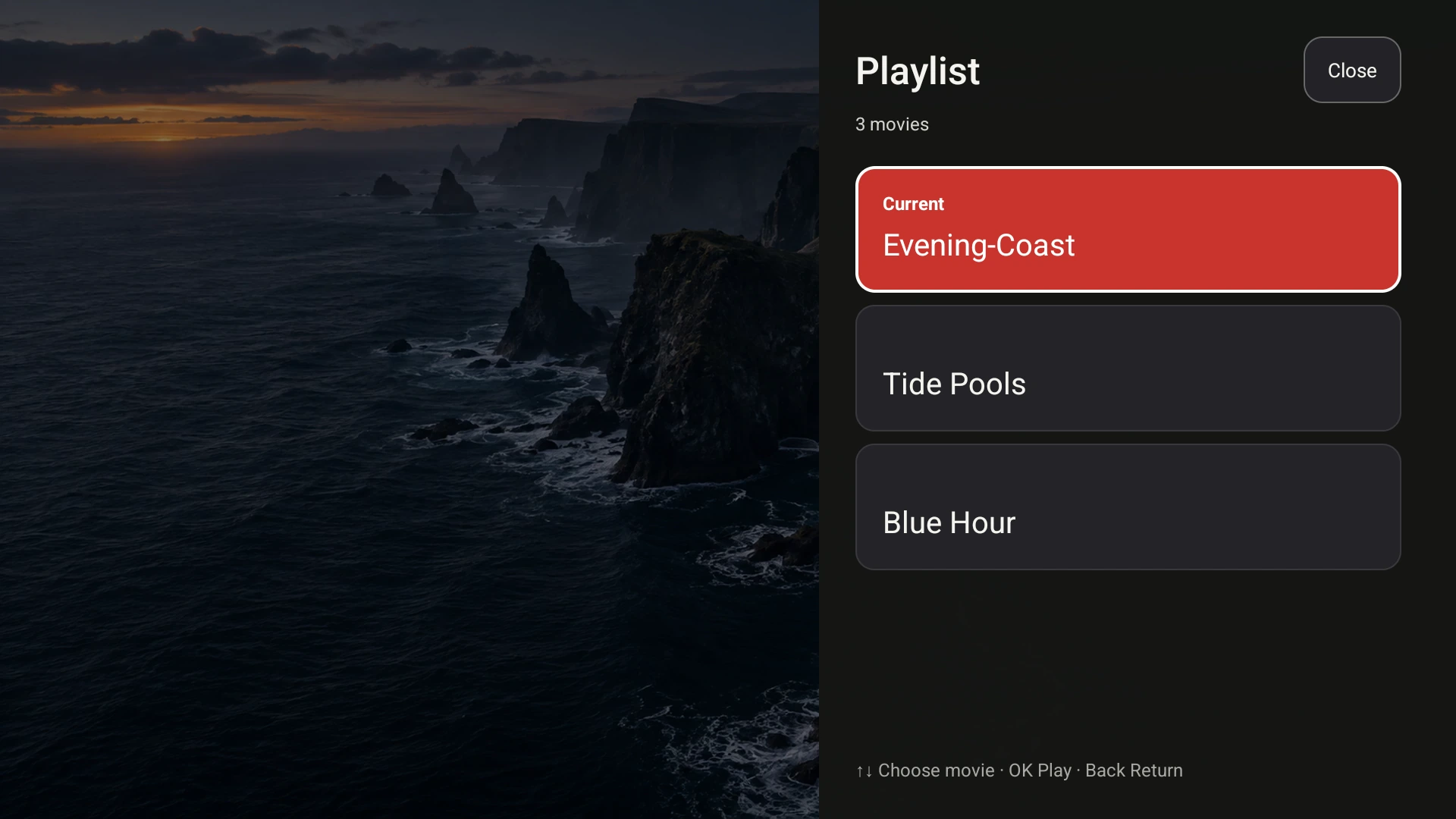 Fast TV’s Google TV playlist, showing Evening Coast and two more local demo videos